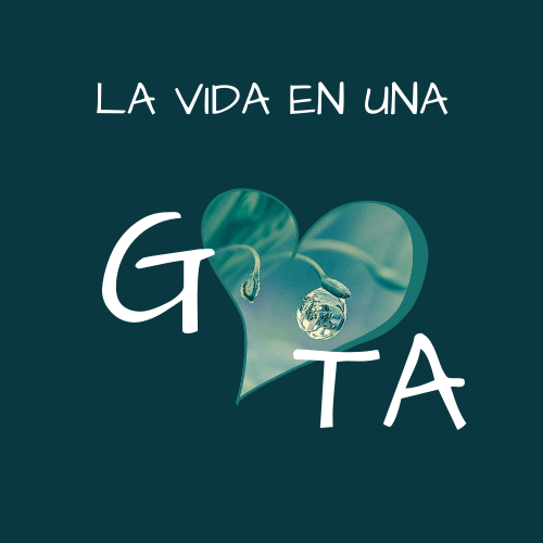 La vida en una gota — Inés Fondevila, terapeuta manual y kinesióloga holística en Barcelona